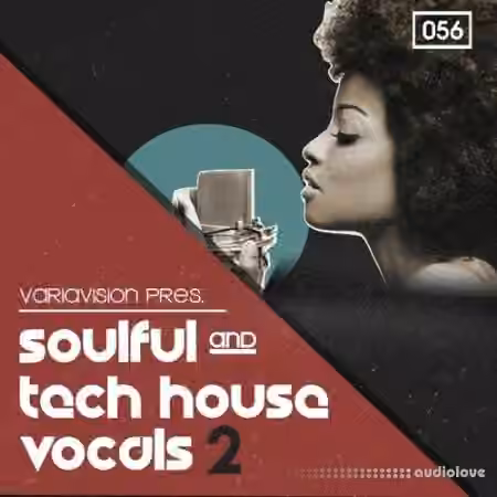 Bingoshakerz Soulful And Tech House Vocals 2 [WAV, REX]