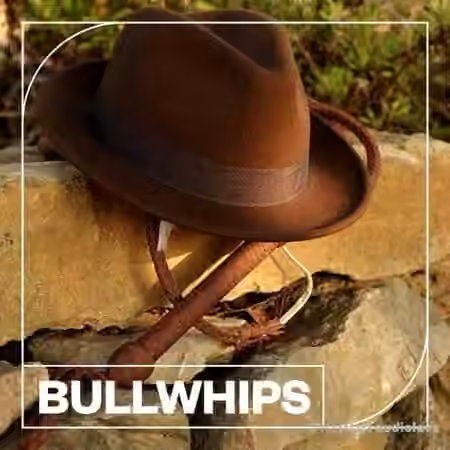 Blastwave FX Bullwhips [WAV]