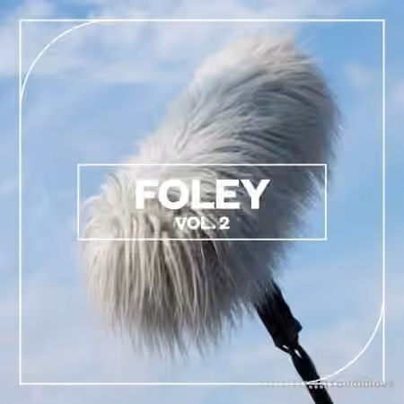 Blastwave FX Foley Vol. 2 [WAV]