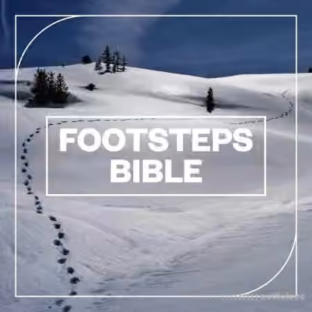 Blastwave FX Footsteps Bible [WAV]