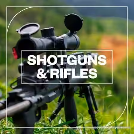 Blastwave FX Shotguns and Rifles [WAV]