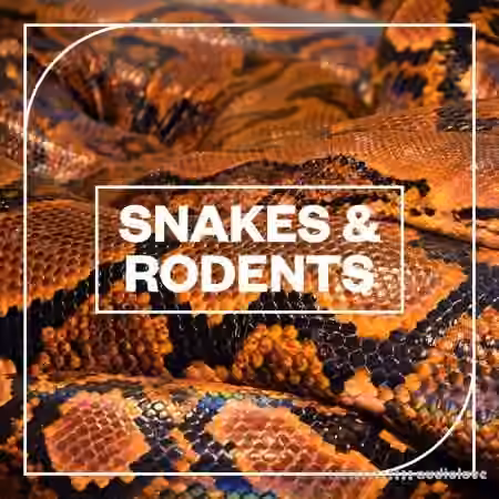 Blastwave FX Snakes and Rodents [WAV]