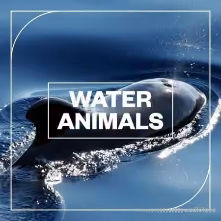 Blastwave FX Water Animals [WAV]