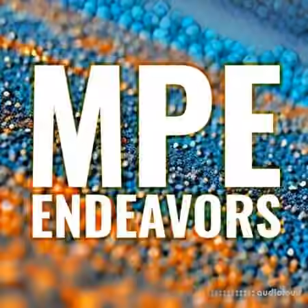 BLEASS MPE Endeavors SampleWiz 2 Preset Pack [Synth Presets]