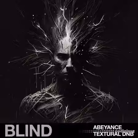 Blind Audio Abeyance Textural DnB [WAV]