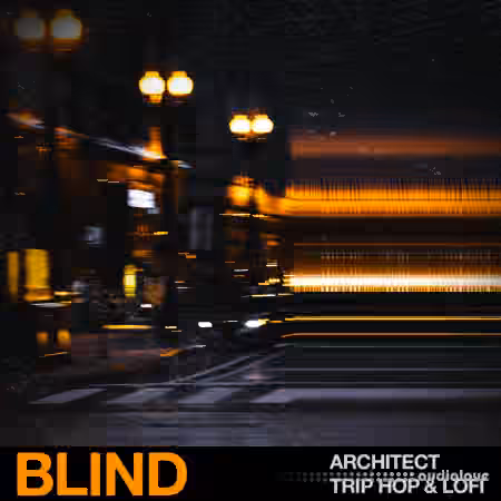 Blind Audio Architect Trip Hop and Lofi [WAV]