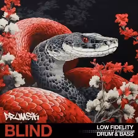 Blind Audio Low Fidelity Drum and Bass [WAV]