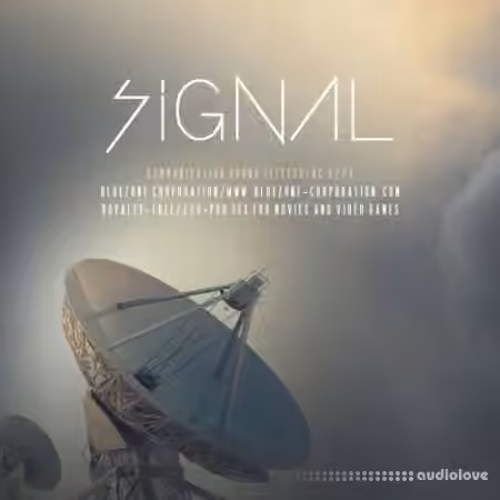 Bluezone Corporation Signal Communication Sound Effects [WAV]