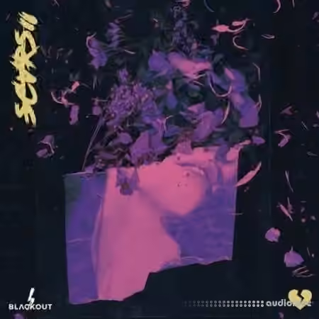 Blvckout Scars 2 [WAV]