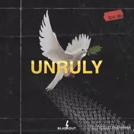 Blvckout Unruly [WAV, MiDi]