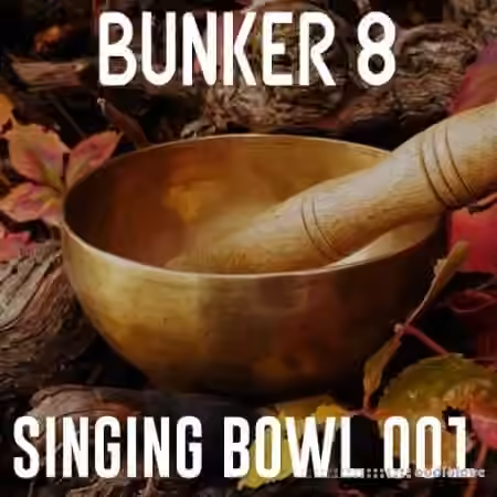 Bunker 8 Digital Labs Bunker 8 Singing Bowl Percussive Loops 001 [WAV]