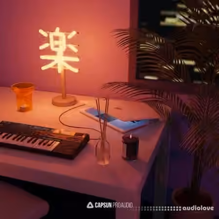 Capsun ProAudio Bedroom Beats and Lofi Hip-Hop Vol.3 [WAV, Synth Presets]
