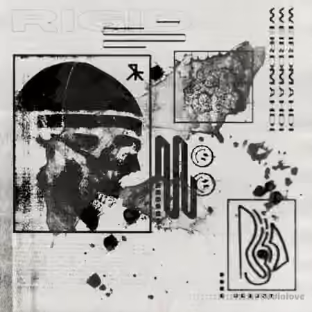 Cash Gang Weird Mahdi Rigid Sample Pack [WAV]
