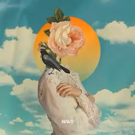 Claro Beats Banger Hits [WAV]