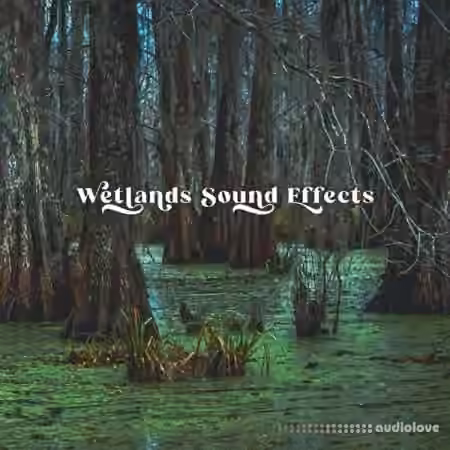 Close to Nature Music Ensemble Wetlands Sound Effects [FLAC]