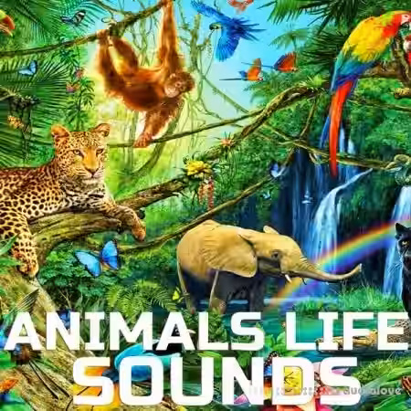 Cloud Nine Records Animals Life Sounds [FLAC]