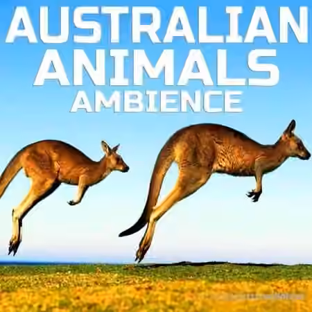 Cloud Nine Records Australian Animals Ambience [FLAC]