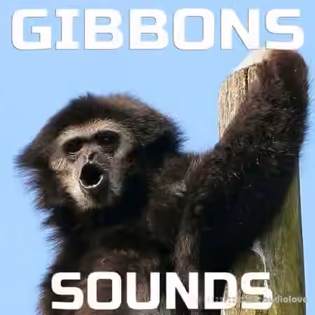 Cloud Nine Records Gibbons Sounds [FLAC]