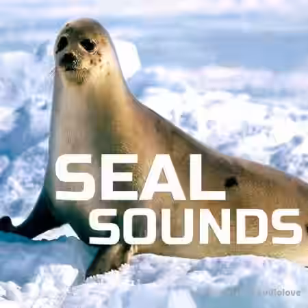 Cloud Nine Records Seal Sounds [FLAC]