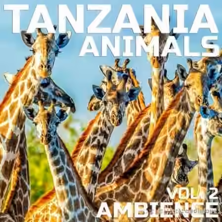 Cloud Nine Records Tanzania Animals Ambience Vol.2 [FLAC]