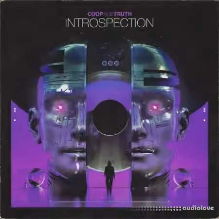 Coop The Truth Introspection (Compositions and Stems) [WAV]