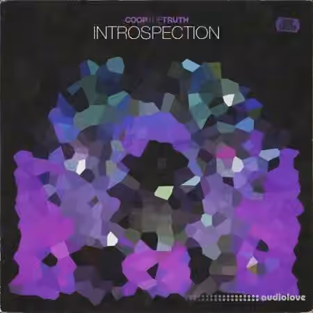 Coop The Truth INTROSPECTION (One Shots) [WAV]