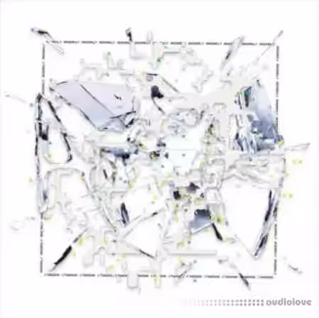 Cryptic Anomaly [ Pre-order ] [WAV]