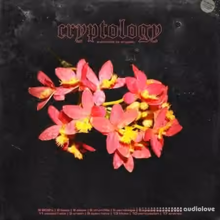 Cryptic Cryptology (Drum Kit) [WAV]