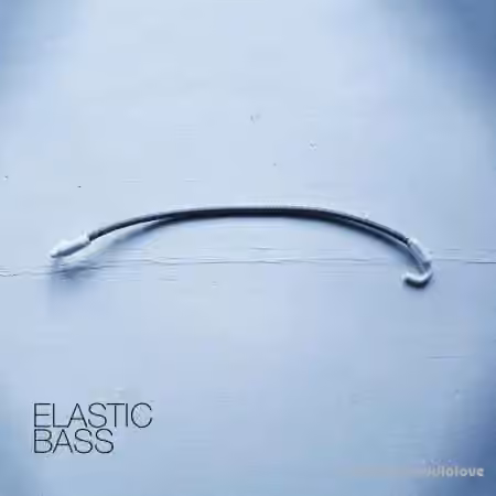 David Hilowitz Elastic Bass [Synth Presets, KONTAKT]