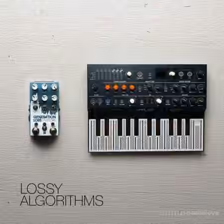 David Hilowitz Lossy Algorithms [Patreon Exclusive] [Decent Sampler] [Synth Presets]