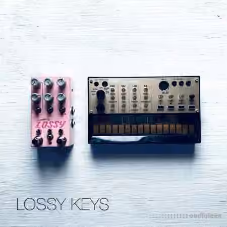 David Hilowitz Lossy Keys by Decent Samples [Decent Sampler] v1.0 [Synth Presets]