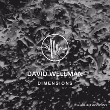 David Wellman Dimensions [Synth Presets]