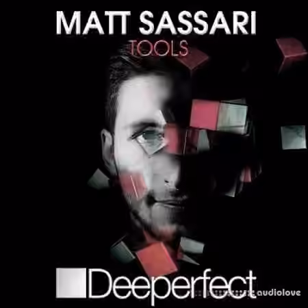 Deeperfect Records Deeperfect Matt Sassari Tools [WAV]