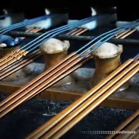Detunized Cimbalom [Ableton Live, WAV, KONTAKT]