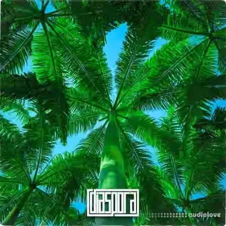 Diaspora Tropic Rhythms Reggaeton [WAV]