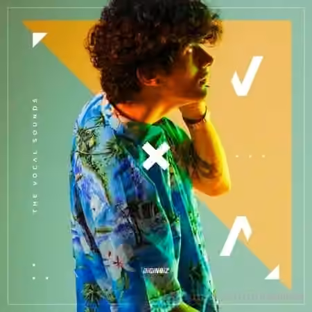 Diginoiz The Vocal Sounds [WAV]