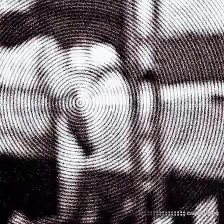 Distant Animals Dichotomies [WAV]
