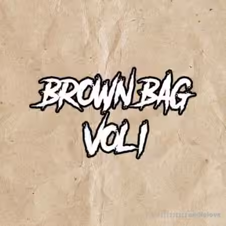 DiyMusicBiz Brown Bag Vol.1 [WAV]