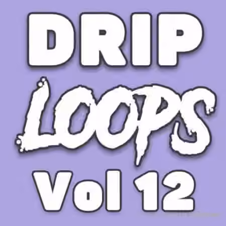 DiyMusicBiz Drip Loops Vol.12 [WAV]