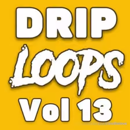 DiyMusicBiz Drip Loops Vol.13 [WAV]