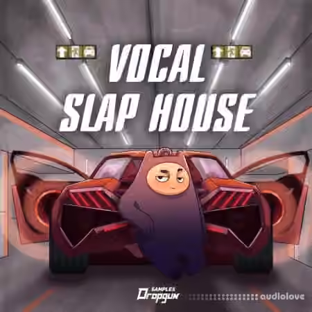 Dropgun Samples Vocal Slap House [WAV]