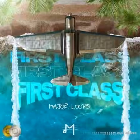 Dynasty Loops First Class [WAV]