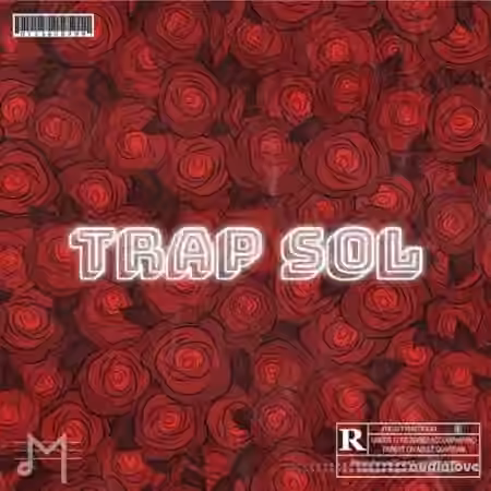 Dynasty Loops Trap Sol [WAV]