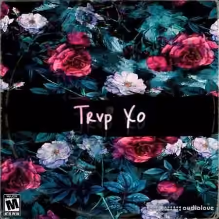 Dynasty Loops Trvp Xo [WAV]