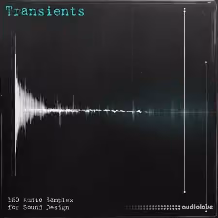 Eric Bowman Transients Sample Pack [WAV, Synth Presets]