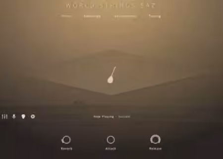 Evolution Series World Series Saz [KONTAKT]