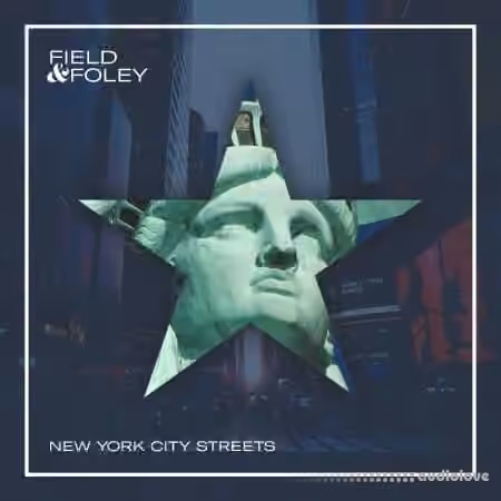 Field and Foley New York City Streets [WAV, Synth Presets]
