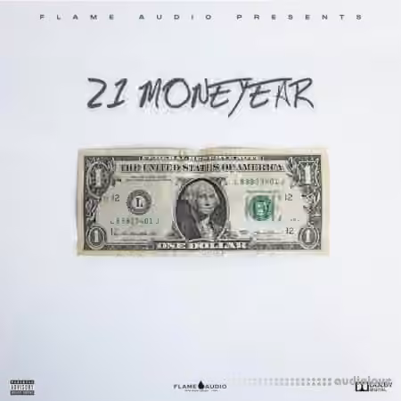 Flame Audio 21 MoneYear [WAV, MiDi]