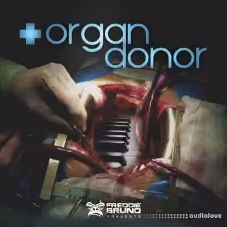 Freddie Bruno Organ Donor [WAV]