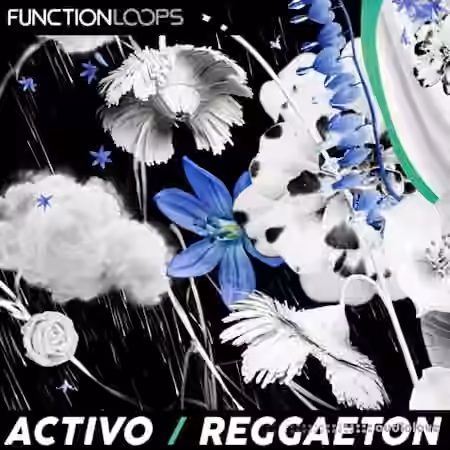 Function Loops ACTIVO - Reggaeton [WAV]